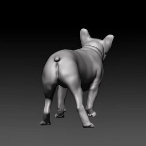 Benutzer definierte 3D-Druckfabrik Stl-Dateien 3D-Druckservice Benutzer definierter Hund Metall 3D-Druck 316l Edelstahl Aluminium Titan - Product Image 5