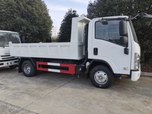 ISUZU 4*2 130HP 6TONS LHD pequeño camión volquete camión ligero volquete en venta - Product Image 3