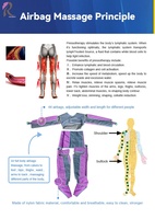 Appareil professionnel de pressothérapie pour drainage lymphatique, machine de remodelage corporel par pression d'air, dispositif de perte de poids