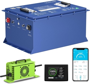 Golf Cart <b>Battery</b> <b>48V</b> 51.2V 100Ah 105Ah <b>Battery</b> 200A Smart BMS 6000+ Cycles with 20A Waterproof Charger Color Customized - Product Image 1