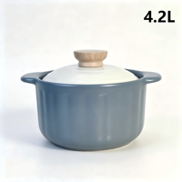 Olla de Cerámica Antiadherente, Compatible con Gas, Resistente y Duradera, Capacidad de 4.2L, Diseño Moderno y Minimalista
