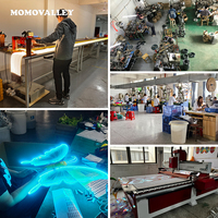 Momovalley Papillon Volant Télécommandé LED Rechargeable RC Bionic Ornithopter Haute Performance pour Ambiance d'Événement