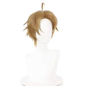 Peluca Sintética Corta Marrón de 30 cm de Ainizi, Disfraz de Rudeus Greyrat de Mushoku Tensei: Reencarnación sin Trabajo - Product Image 4