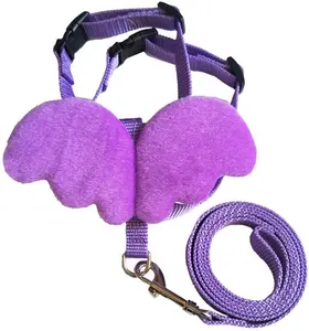 Conjunto de faixas e coleira de bichos, fabricante em atacado, coleira de peitoral com asas de anjo, cordas de nylon para cães pequenos e médios, corda para caminhada