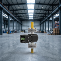 Yunyi LPG Roots Flow Meter High Precision Rotary Gas Flowmeter for LPG Station Tanker Truck CNG Biogas Measurement