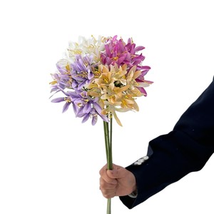 Fleurs artificielles d'agapanthus en soie, décoration de mariage et de maison, style européen, accessoires de photographie en extérieur - Product Image 5
