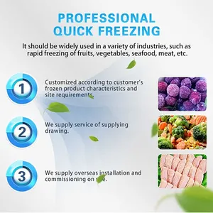 AICN Blast Liquid Nitrogen Shock Bread Quick Freezing Broccoli Freezer Vertical