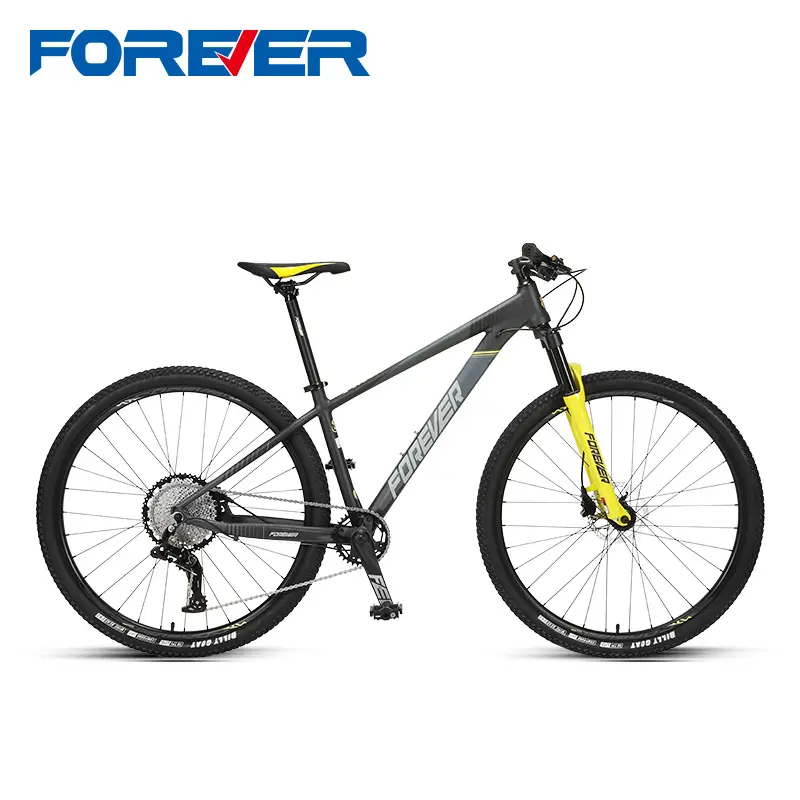 FOREVER Sport Entertainment Cycling 29 Inch Cycling for Adult Wholesale MTB Mountain Bike Bicycle 12 Speed