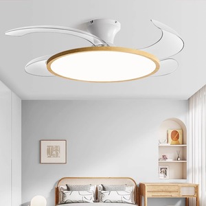 Invisible <b>Fan</b> Light Led <b>Ceiling</b> <b>Fan</b> Fixed Blade For Living Room Bedroom Home Use 5 Year Warranty - Product Image 2