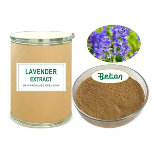 Cosmetic Grade Lavender Oil Whole Plant Extract Powder Lavender Extract 10:1 Lavender Flower Extract
