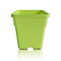 Pot de fleurs carré en plastique blanc durable, planteur pour cactus