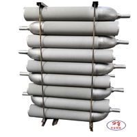 Nouveaux tubes radiants de type W en acier inoxydable haute alliage, moulés par centrifugation, pour les usines de tôlerie galvanisée, certifiés ISO9001-2015