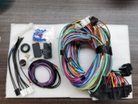 Kit de câblage automobile universel 21 circuits avec boîte à fusibles, panneau de fusibles et faisceau de câblage de châssis pour Hot Rod, Street Rod, voiture