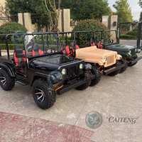 Caiteng 200cc 250cc Mini Jeep à essence/électrique 2 places 4x4 Transmission automatique Garantie de 2 ans Buggy de plage Golf Tout-terrain