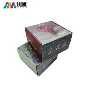 Folding Plants Seeds Packaging Corrugated Box Custom Desgin Packaging Paper Bag Paper Cardboard Paperboard,coated Paper Folders