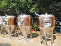 600L Beer Fermenting Equipment Beer Fermentation Tank
