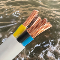 Câble de pompe submersible plat basse tension HUAQI 600V 16mm² 3 et 4 conducteurs, gaine isolante en caoutchouc IEC pour l'exploitation minière H07RN-F