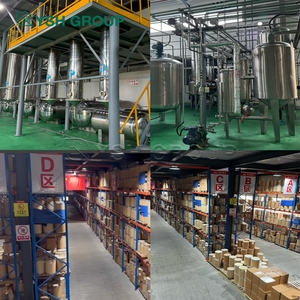 OEM Label pribadi kapsul <span class=keywords><strong>Moringa</strong></span> daun alami Protein tanaman Vegetarian <span class=keywords><strong>Moringa</strong></span> botol bubuk Label pribadi <span class=keywords><strong>Moringa</strong></span> - Product Image 6