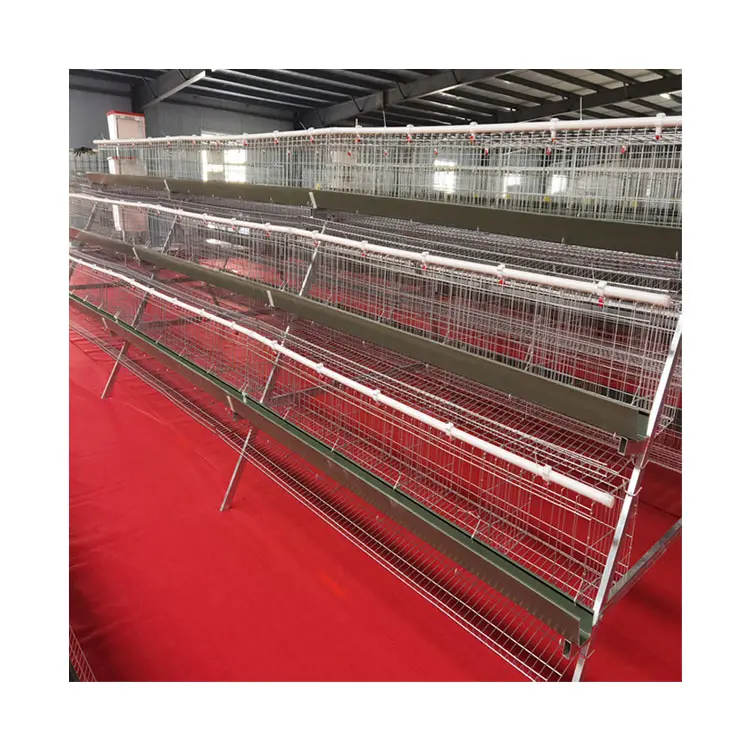 design layer chicken cages 4 tier layer cage layer chicken cage automatic