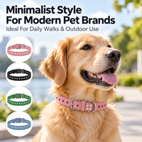 Collier pour chien en silicone en gros, étanche, réglable, souple, durable, pour chiots, pour détaillants en ligne AMZ Pet Store