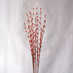 <span class=keywords><strong>Ramas</strong></span> <span class=keywords><strong>de</strong></span> Flores Artificiales <span class=keywords><strong>de</strong></span> <span class=keywords><strong>Salix</strong></span> Argyracea, Decoración <span class=keywords><strong>de</strong></span> Interiores, Coloridas, Venta al por Mayor - Product Image 4