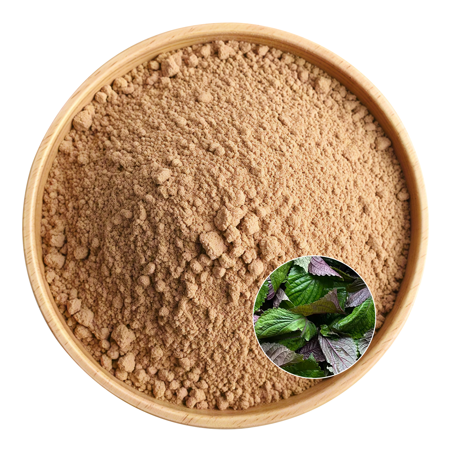 Food Grade Perilla Powder for Dairy & Bakery Flavor Enhancement