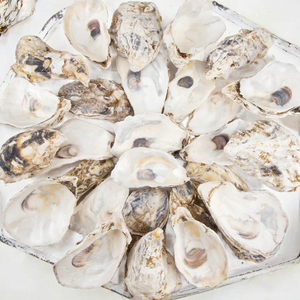 4 \ "-5 \" vỏ sò thô tự nhiên 30 chiếc vỏ sò nhỏ số lượng lớn cho hàng thủ công mỹ nghệ tự làm đồ trang trí Giáng sinh kỹ thuật loại thô - Product Image 2