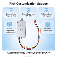 Module amplificateur de puissance RF GUORESOUN 703-733 MHz personnalisable 13W 25W 50W, gain 48 dB, 50 Ohm, amplificateur de signal d'impulsion CW