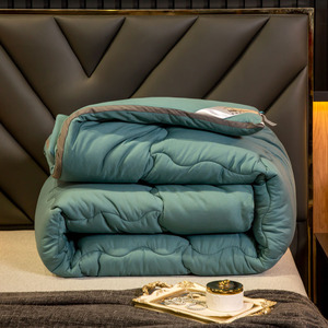 Chăn Vải Cotton Màu Xanh Lá Cỡ Lớn Cỡ Lớn 300gsm Nhà 100% Cotton, Vải Polyester Khách Sạn 3-15 Ngày Khâu 300 GSM ISO9001 - Product Image 6