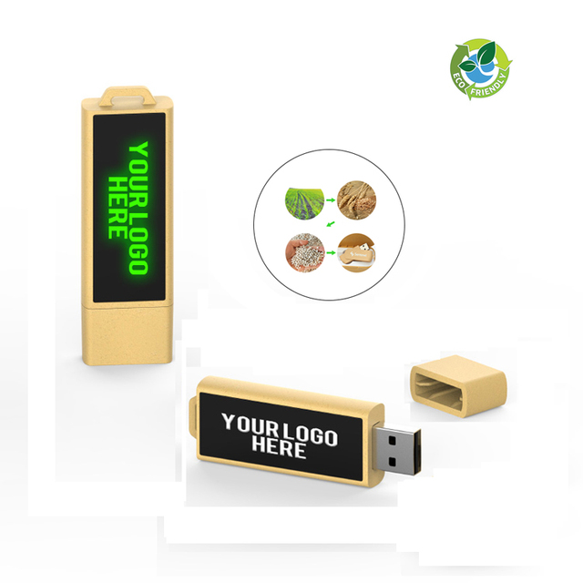 New HOT Sale CE ROHS Plastic ECO Friendly Custom Logo USB 2.0 Flash Drive 8GB-256GB