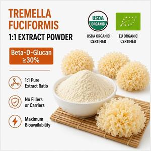 Extracto Puro de Hongo Tremella <span class=keywords><strong>Fuciformis</strong></span> Orgánico 1:1 en Polvo, 30% Beta-D-Glucano, Hongo de Nieve, Sin Rellenos, Cuerpo Fructífero - Product Image 1