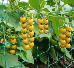Filet de soutien pour plantes en maille large jaune universel renforcé de qualité supérieure pour la glycine et l'exposition au soleil – Brésil - Product Image 2