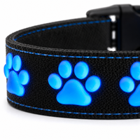 Collier pour chien en silicone moulé 3D rechargeable avec LED et fibre optique, 14 modes d'éclairage, fonction mémoire, étanche, type C, taille XS-L
