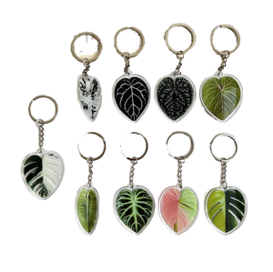 English Custom Acrylic Keychain Cute Monstera Plant Keychain