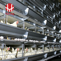 Cage à poulets automatique de type H à 4 niveaux en acier galvanisé avec courroie de fumier, collecte d'œufs OEM, abreuvoir à tétine, haute densité