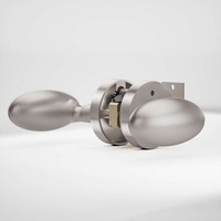 Poignée de porte à levier en alliage de zinc pour porte en bois