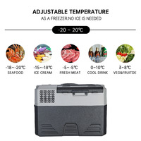 42/52/62L Refrigerador de coche Mini nevera Congelador pequeño 12V Compresor Enfriador portátil 220V 12V Mini refrigerador portátil de coche