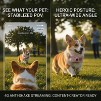 Collier GPS intelligent pour animaux de compagnie OEM/ODM, solution de localisation et de suivi en temps réel à l'échelle mondiale
