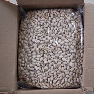 Pistachos Tostados Duros Premium al <span class=keywords><strong>por</strong></span> <span class=keywords><strong>Mayor</strong></span>, en Cáscara, Sin Aditivos, <span class=keywords><strong>para</strong></span> un Snack Saludable Diario - Product Image 5