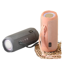 Nouvelle Enceinte Portable d'Extérieur TG227 2026 avec Lumière LED RGB, Étanche IPX4, Mini Boombox Sans Fil, Radio FM et Prise en Charge des Basses