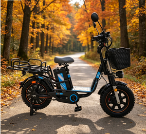 Bicicleta Eléctrica Todoterreno con Llantas Anchas, 800W 48V, Capaz de Transportar Carga, Venta Directa de Fábrica - Product Image 3