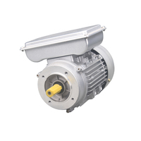 Moteur à induction monophasé à double condensateur standard chinois WOMA 220v haute efficacité 50/60hz 2800RPM 0.55KW 0.75HP