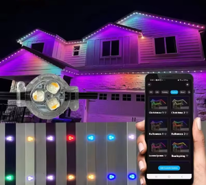 Hot bán 12V 0.96 Wát <span class=keywords><strong>RGBW</strong></span> pixel <span class=keywords><strong>Led</strong></span> Ngoài Trời Đèn giáng sinh không thấm nước IP68 đánh giá vĩnh viễn 30 mét RGB chiếu sáng - Product Image 5