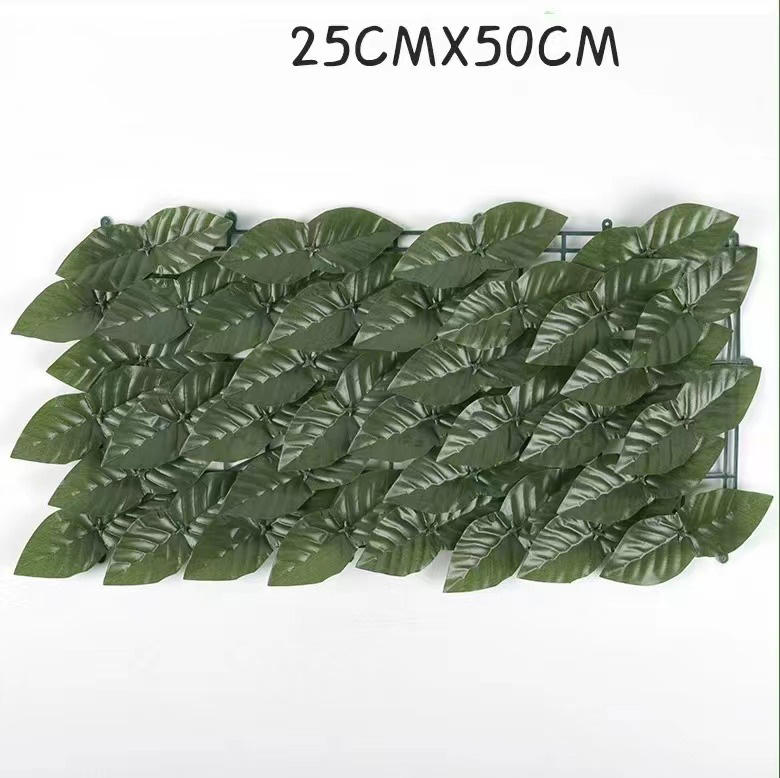 สีเขียว3