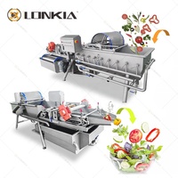 Lonkia Fruit Was-En Sorteermachine Groenten En Fruitverwerkingslijn Vegetarisch Gesneden Reinigingswaslijn