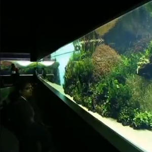 Pecera Acrílica Rectangular de Diseño Moderno de 80 mm y 100 mm, Lista para Enviar, para Peces Tropicales, Uso en Exteriores - Product Image 4