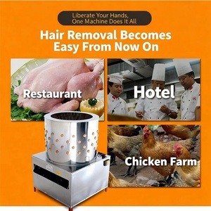 Máy nhổ lông gia cầm công suất cao 50 con gà vịt, động cơ điện - Product Image 4