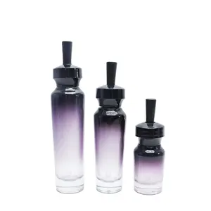 100ml Glass Dropper Bottle Luxury Cosmetic Packaging 15ml 30ml 50ml 100ml 120ml Custom Cosmetic Purple Glass Dropper Bottle For Serum Essential Oil GB-02B