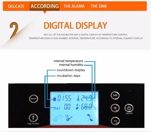 HHD Pollo/Pato/Ganso/Aves de Corral Incubadora de huevos completamente automática Bandeja de huevos con estriado - Product Image 5