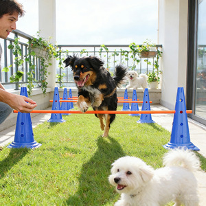 อุปกรณ์ฝึกสุนัขแบบ Agility ชุดเสากระโดด กรวย ถัง แท่งมาร์คเกอร์ ทำจากไนลอน พลาสติก และไฟเบอร์ สำหรับการฝึกอบรม - Product Image 6